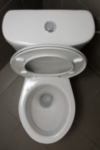 toilet-with-seat-up