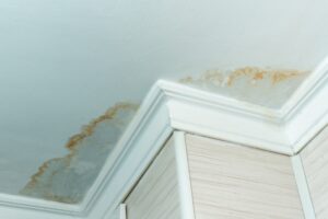 water-stain-discoloring-ceiling